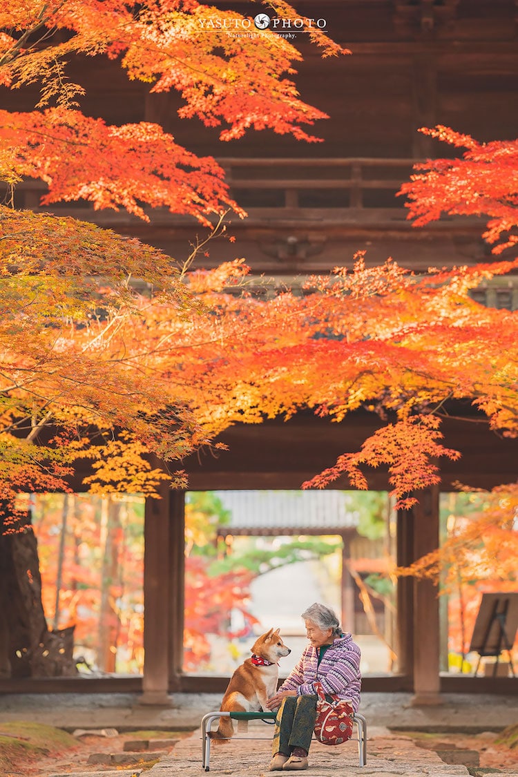 Grandmother Portraits in Japan by YASUTO