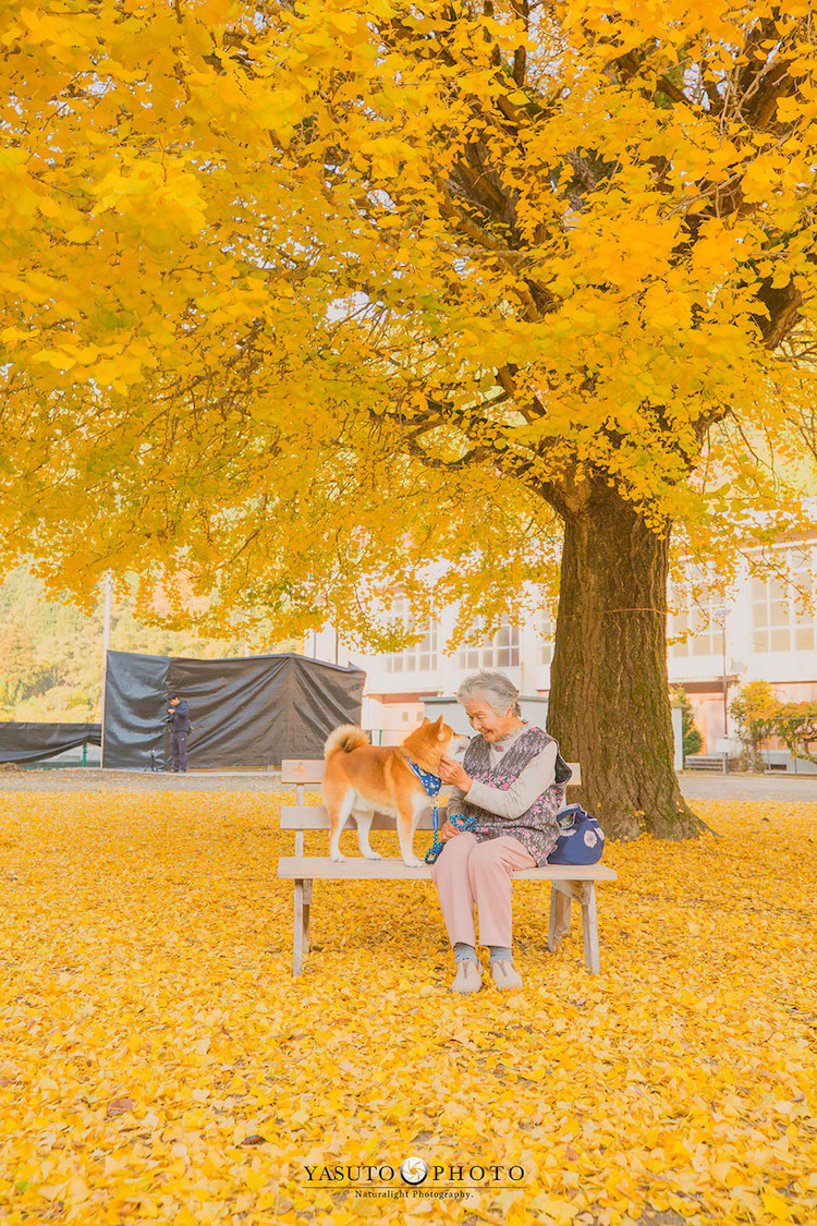 Grandmother Portraits in Japan by YASUTO