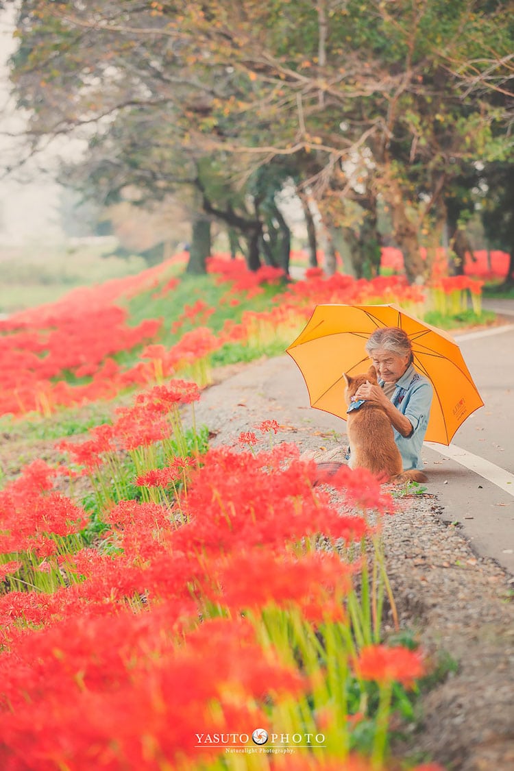 Grandmother Portraits in Japan by YASUTO