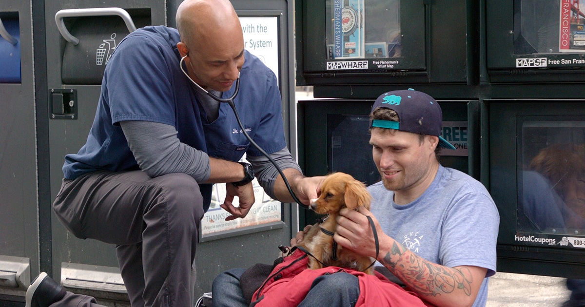 Californian Veterinarian Treats Homeless People’s Pets For Free