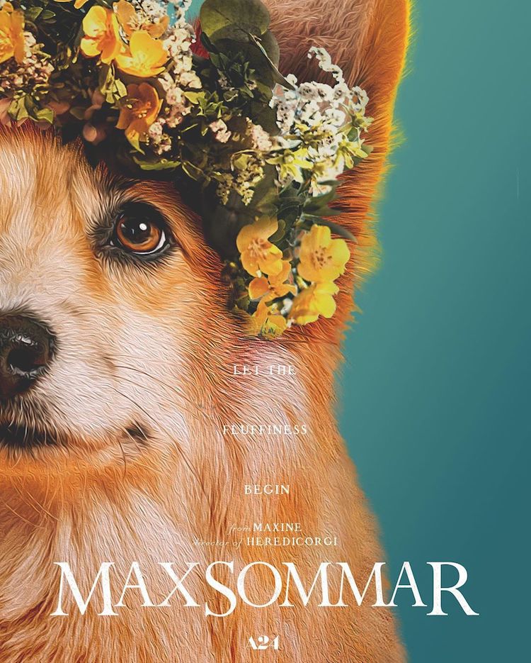 Maxine the Corgi in Reimagined Film Posters