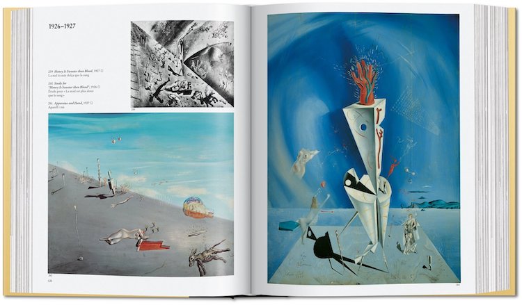 libro de pinturas de Salvador Dali