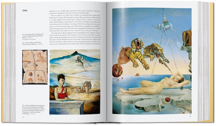 libro de pinturas de Salvador Dali