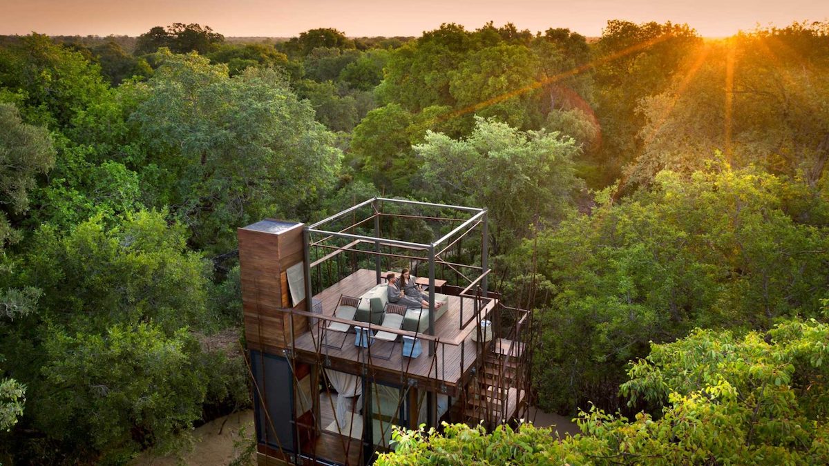 Ngala Treehouse Experience in South Africa