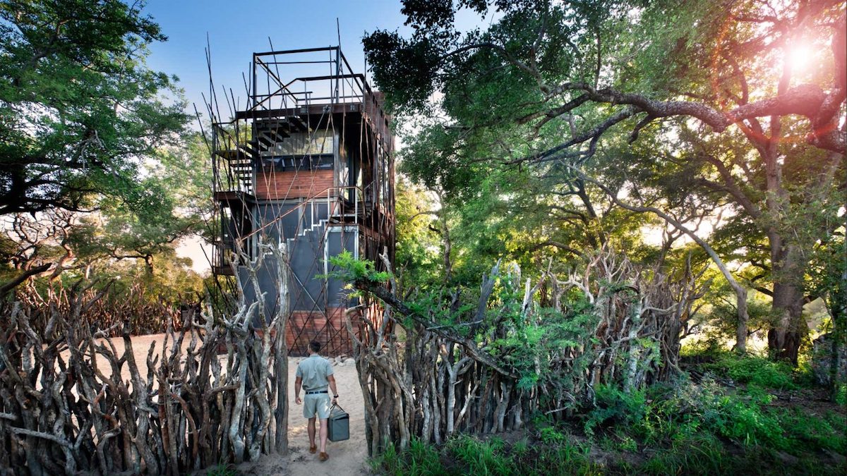 Ngala Treehouse Experience en sudafrica