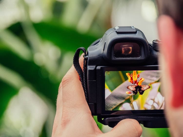 Best Online Photography Courses