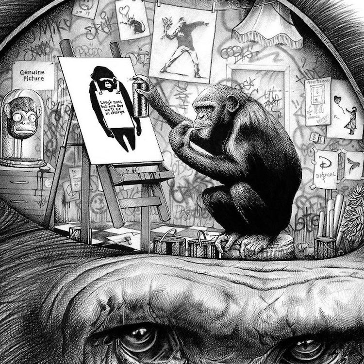 Animal Illustrations by Paul Jackson