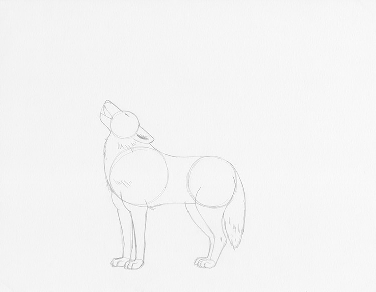 how to draw a wolf pup step by step easy