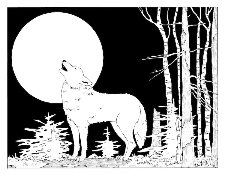 Dibujo de un lobo aullando a la Luna