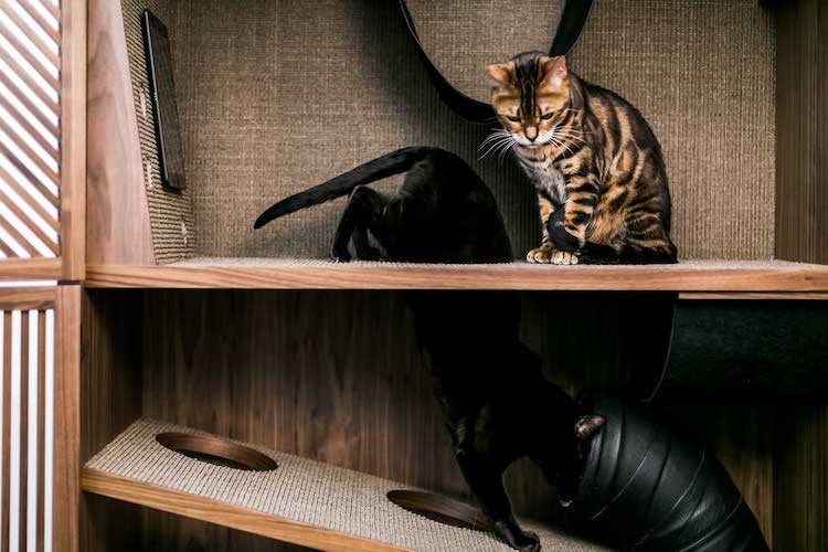 muebles para gato