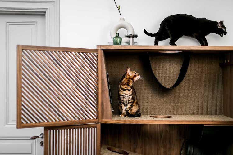 Stylish Cat Furniture is Packed With 10 Things to Make Them Happy