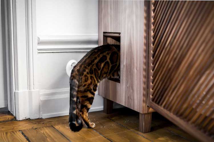 muebles para gato