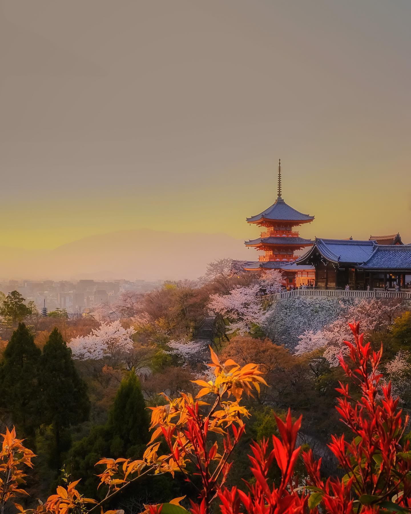 Japanese Temple with Colorful Fall Leaves