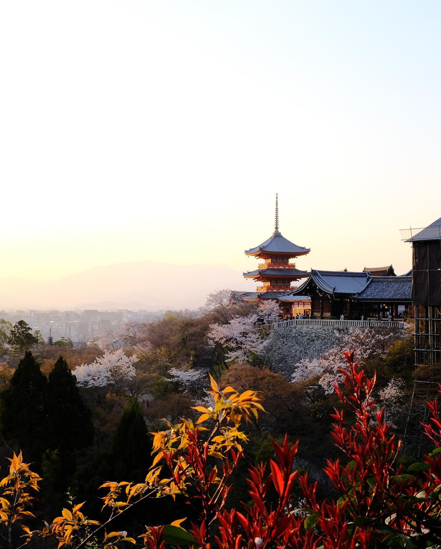 Japanese Temple with Colorful Fall Leaves