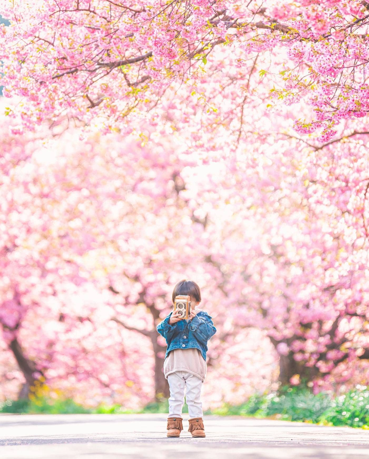 Child with Camera in Front of Cherry Blossoms