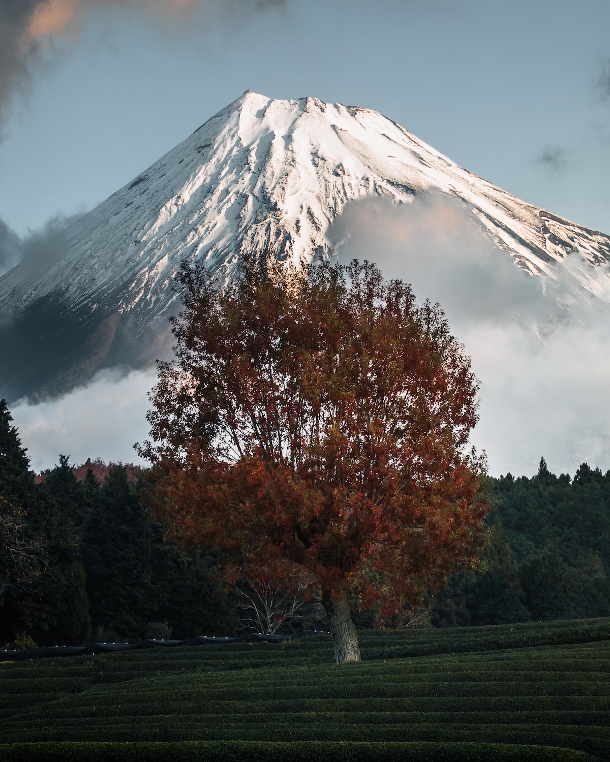 Concurso Japan Lightroom fotografias editadas antes y despues