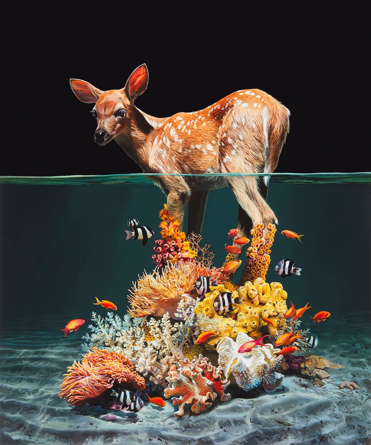 Paintings Depict Land Animals Half-Submerged in Rising Sea Water