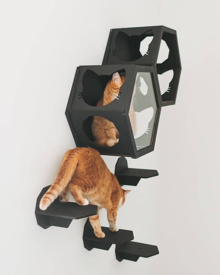 Contemporary Cat Furniture