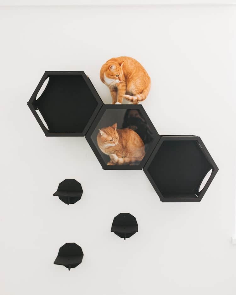 Contemporary Cat Furniture