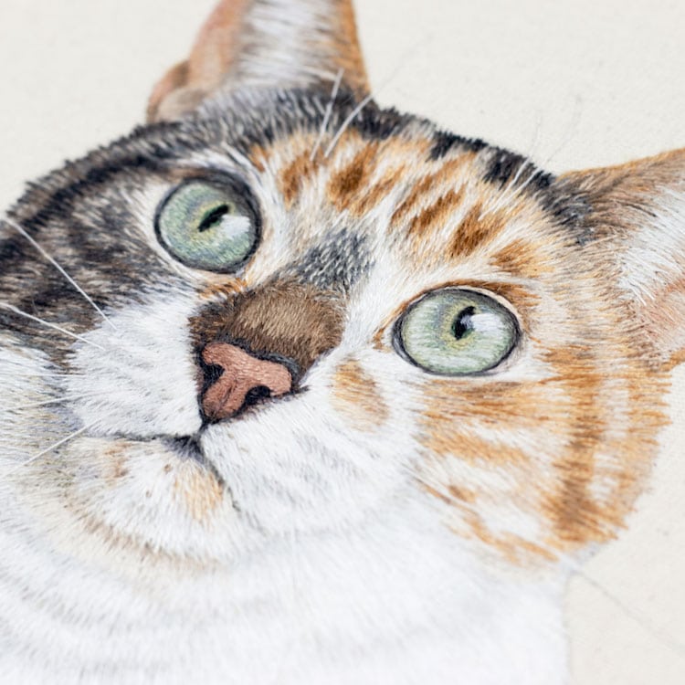 Embroidery Pet Portraits by Michelle Staub