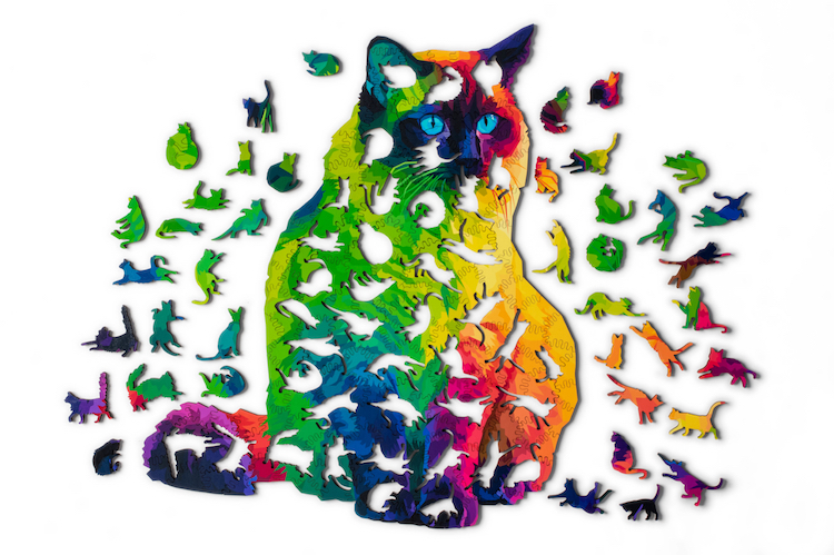 Herding Cats Puzzle