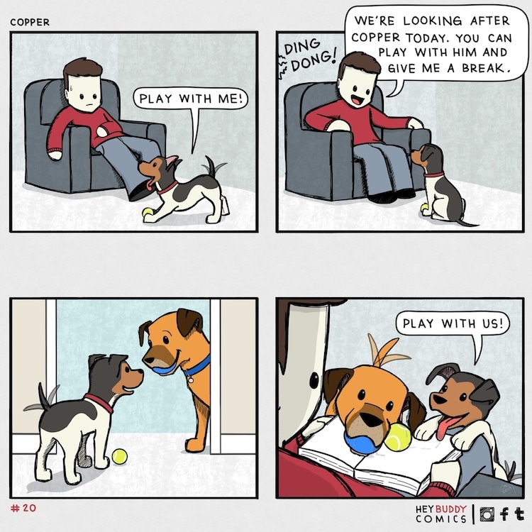 Hey Buddy Dog Comics