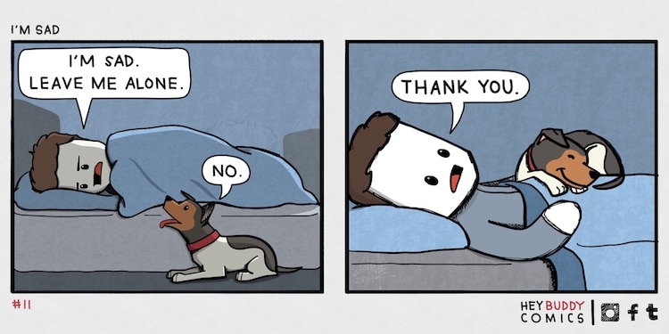 Hey Buddy Dog Comics