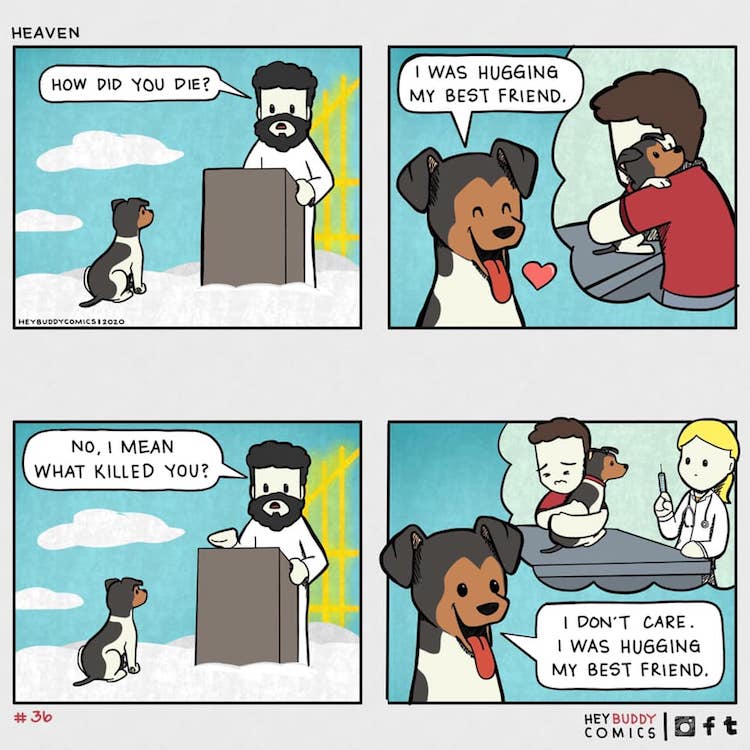 Hey Buddy Dog Comics