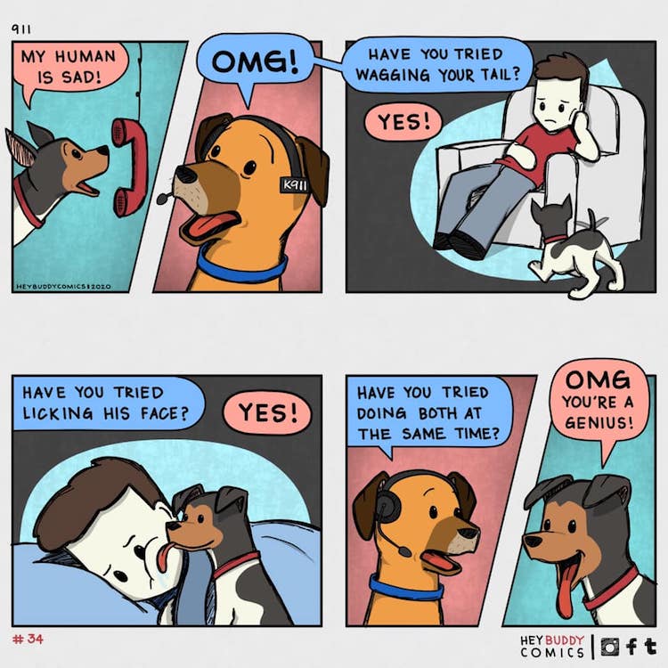 Hey Buddy Dog Comics