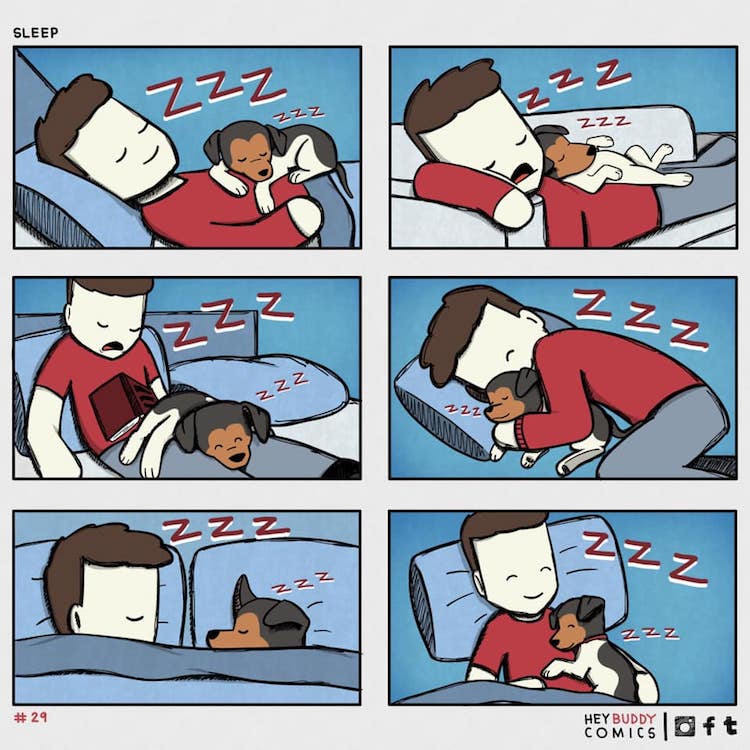 Hey Buddy Dog Comics