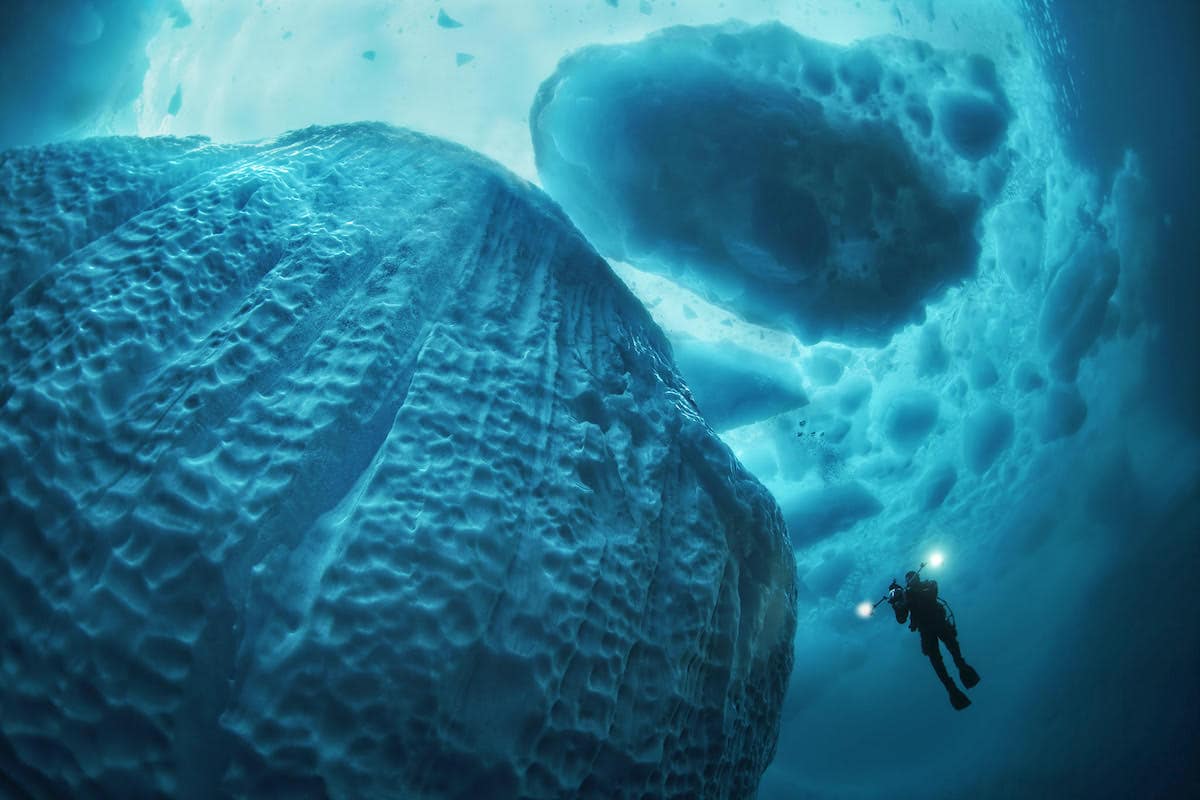 Diver Swimming Next to Iceberg in Greenland 