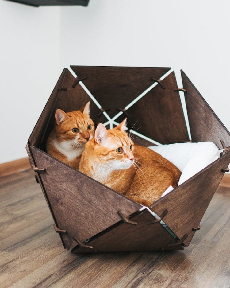 Modern Cat Furniture by Oh My Woood