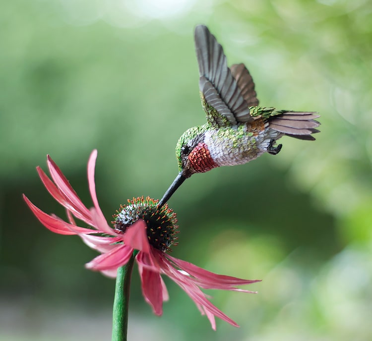 Niharika Rajput Bird Sculptures