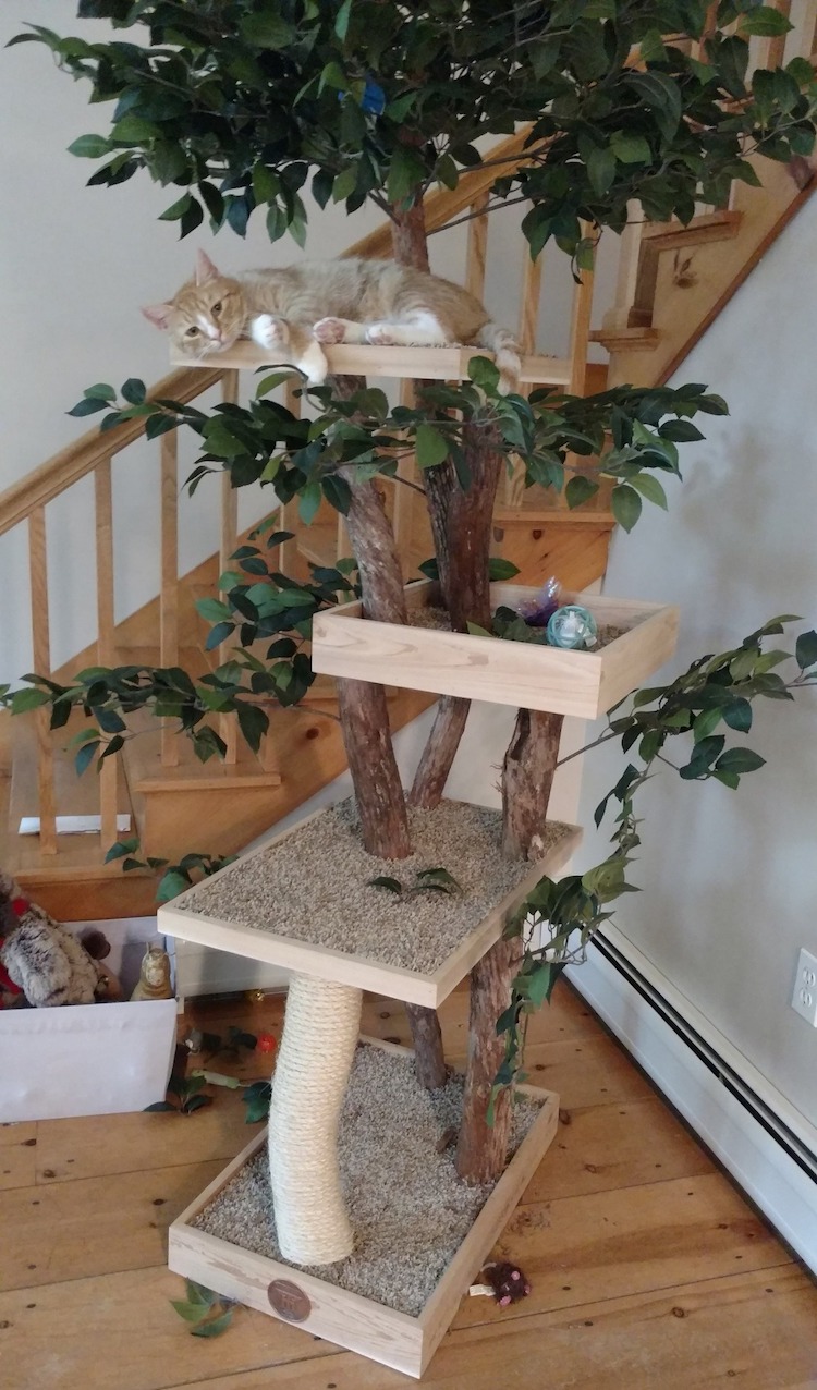 Pet Tree Houses