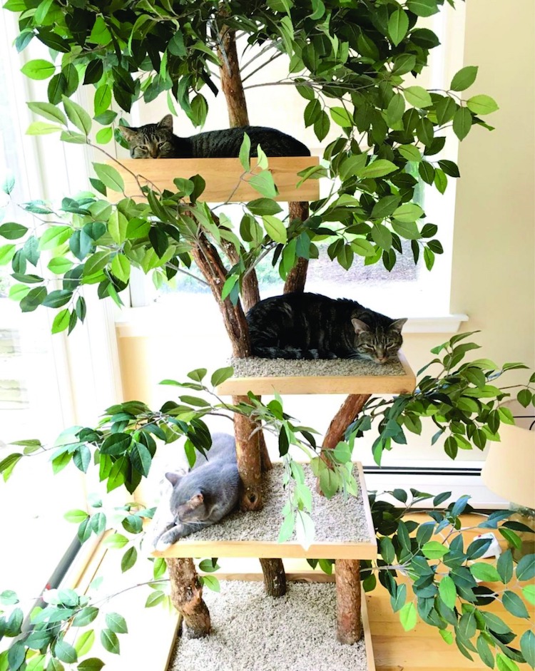 Pet Tree Houses