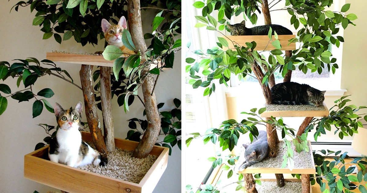 natural cat tree house