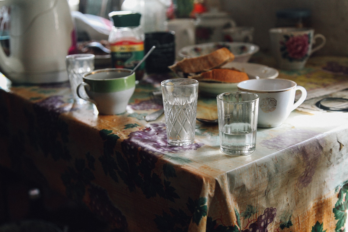 vida en la zona de exclusion de chernobyl