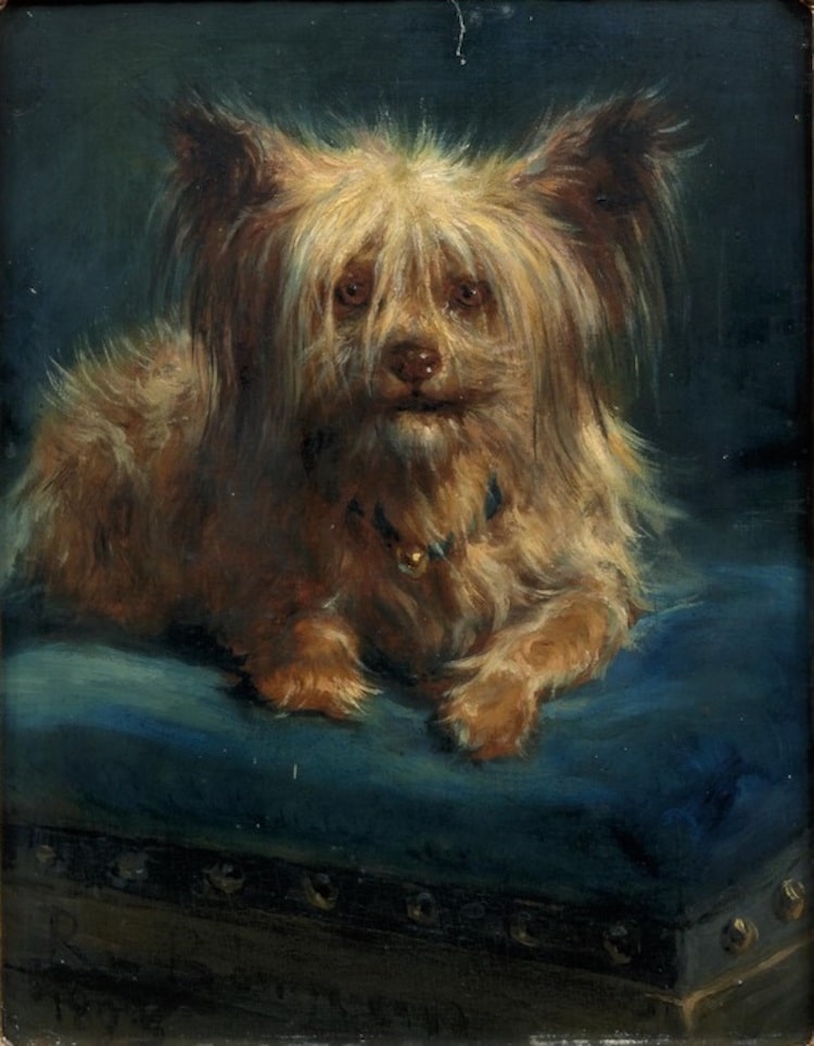 Rosa Bonheur Biography 38 Rosa Bonheur Ideas Animal Paintings 