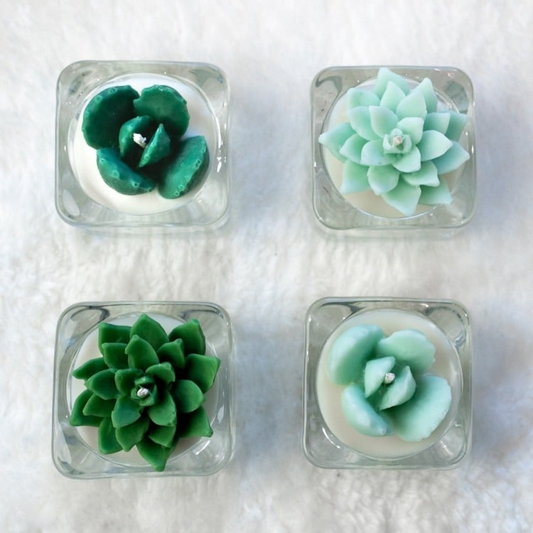 Succulent Soy Candles by Zoet Studio