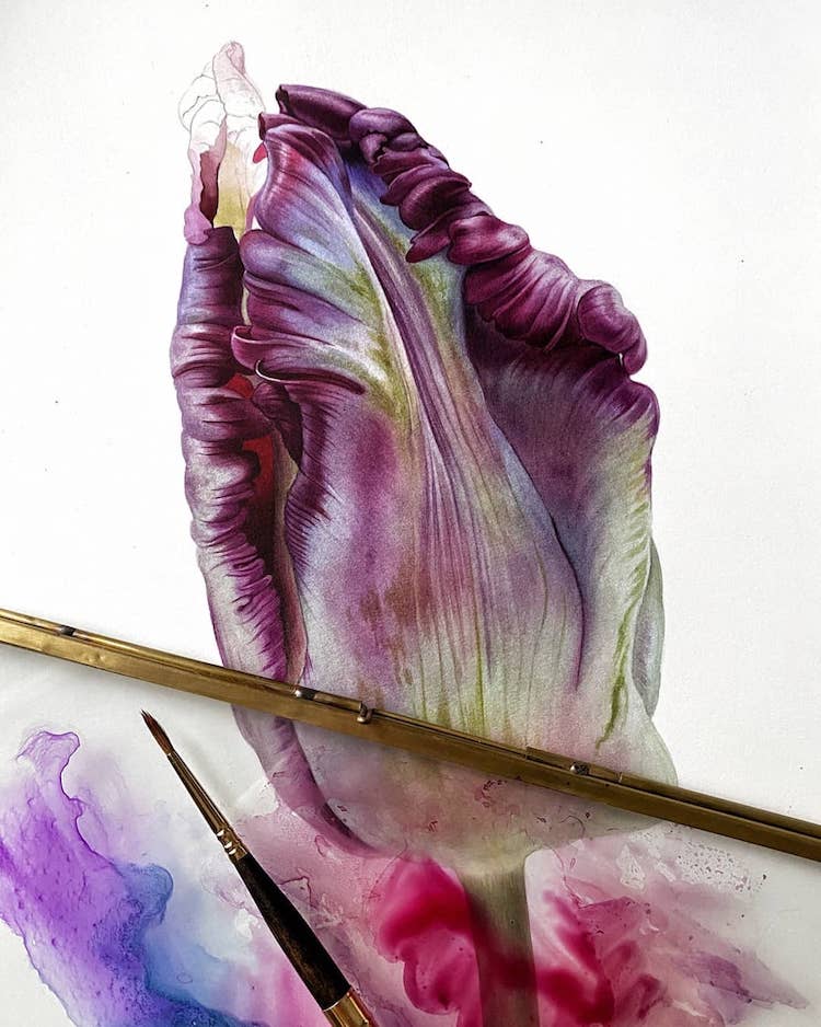 Pintura de planta en acuarela por Svetlana Lanse