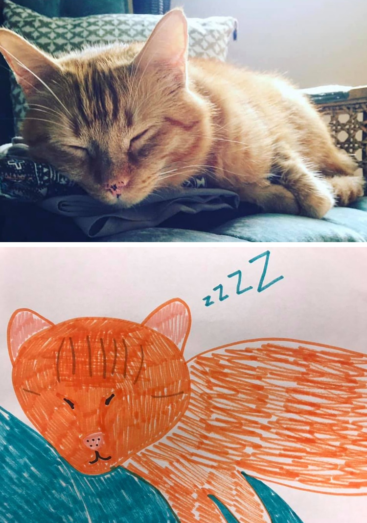 dibujos feos de animales