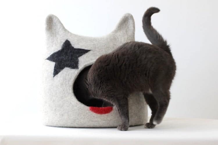 Ziggy Stardust Cat Bed