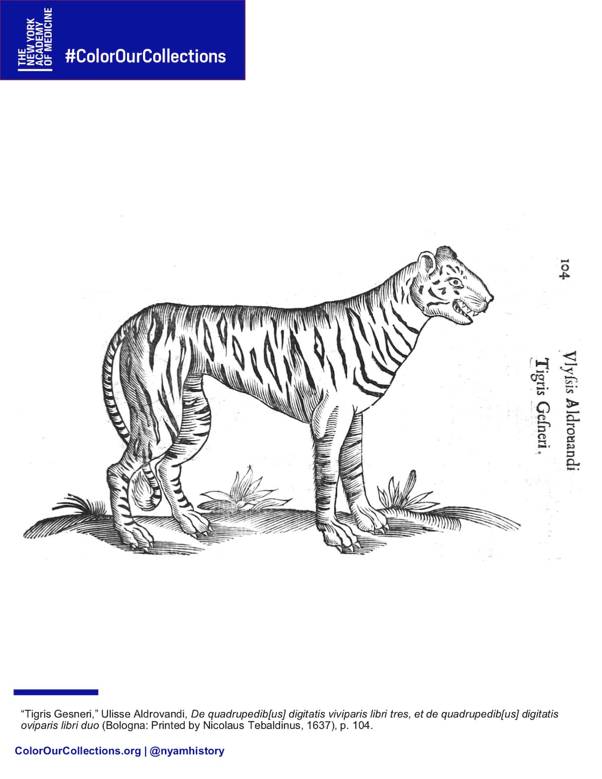 Download Download Thousands Of Coloring Pages From Museum Collections