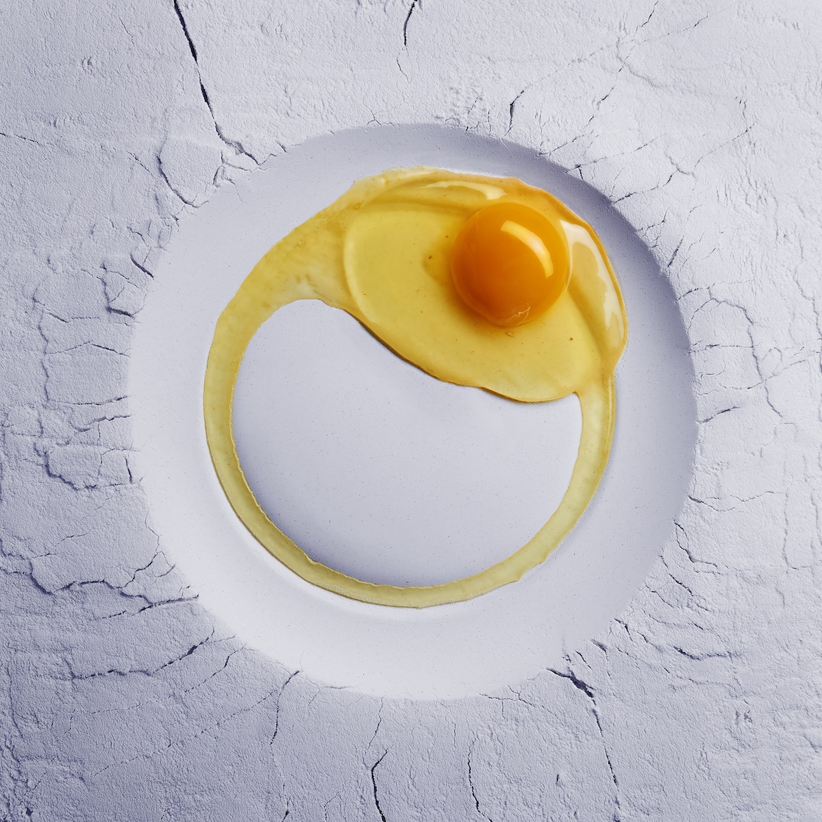 Still Life with a Crack Plate and Egg