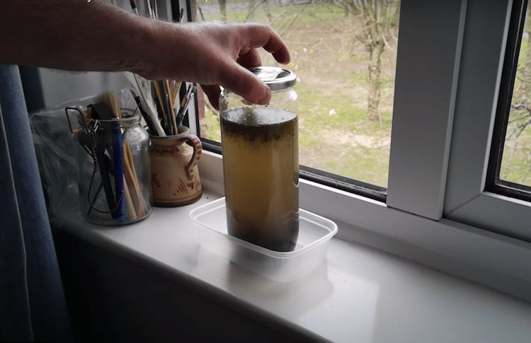 Frasco lleno de agua de estanque colocado junto a la ventana