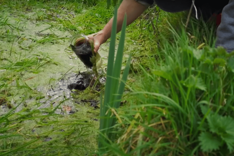 Recolectando agua de un estanque con un frasco