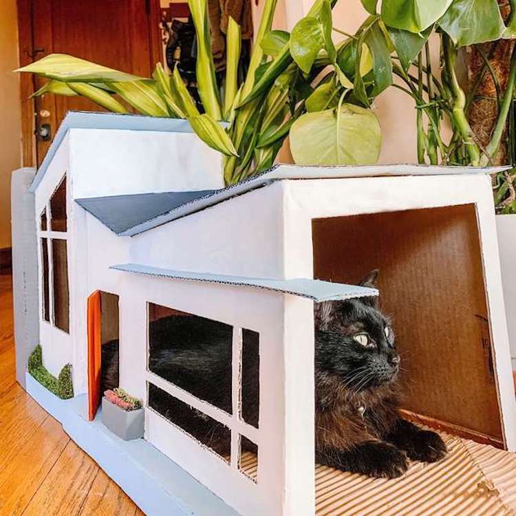 Diseñadora gráfica crea una casa de cartón para dos gatos