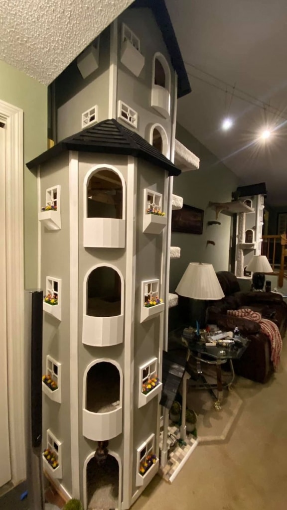 Man Builds Elaborate Tall Cat Tree Spanning Length of His Living Room