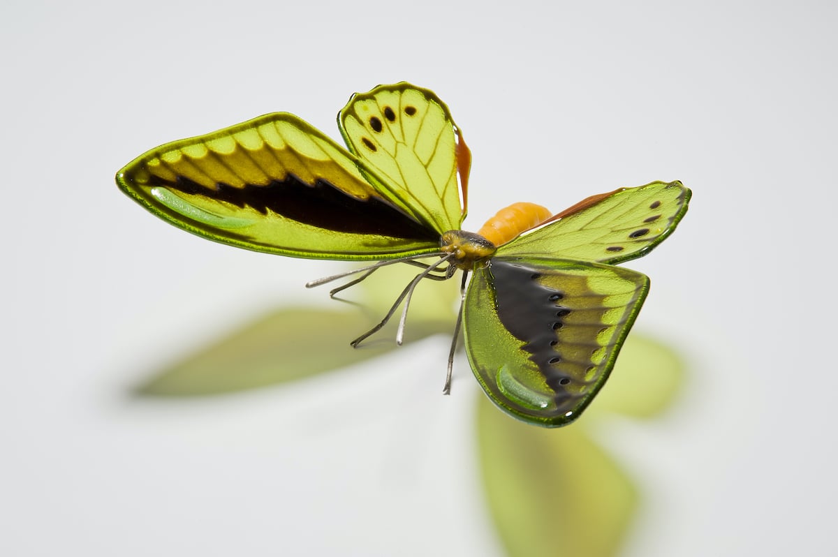 Butterfly Glass Sculpture by Laura Hart