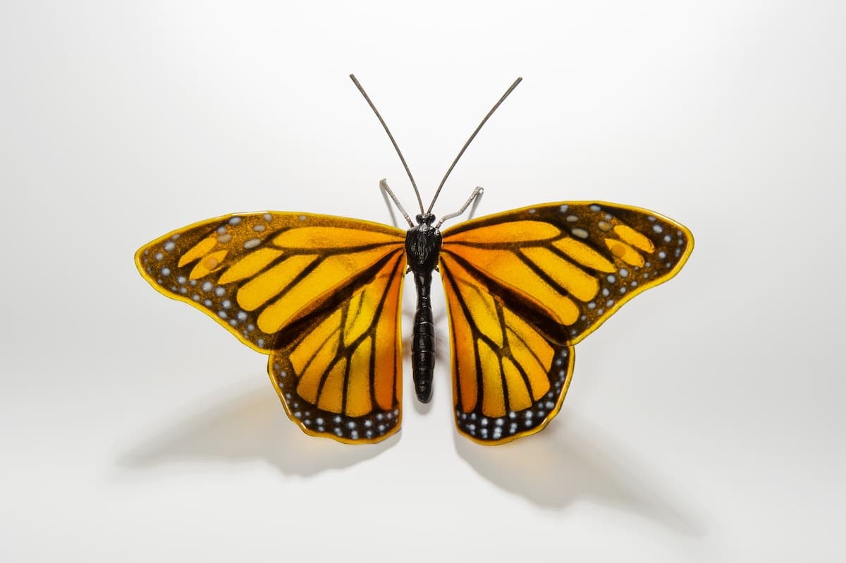 Sculpture of an Endangered Butterfly by Laura Hart